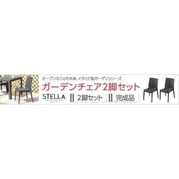 2脚セット ガーデン 【弘益】 カフェ