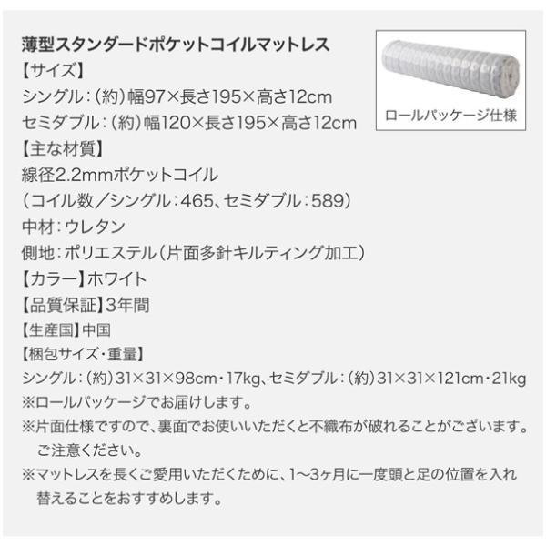 通常納期 (SALE) セミダブルベッド マットレス付き 薄型スタンダードポケットコイル 引出しなし ベッド下収納 収納付きベッド