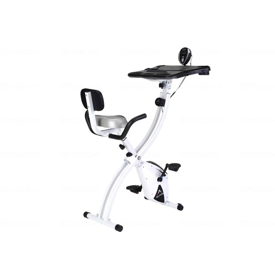 アルインコながらバイク4518