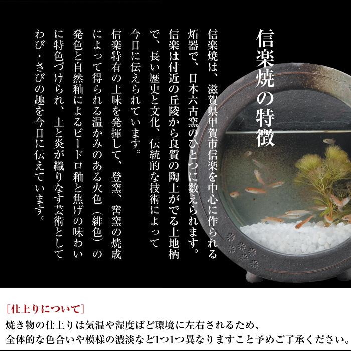 信楽焼 水槽 陶器 ガラス 日本製 角 四角 めだか メダカ 金魚 信楽焼 水槽 陶器 ガラス 日本製 角 四角 めだか メダカ 金魚
