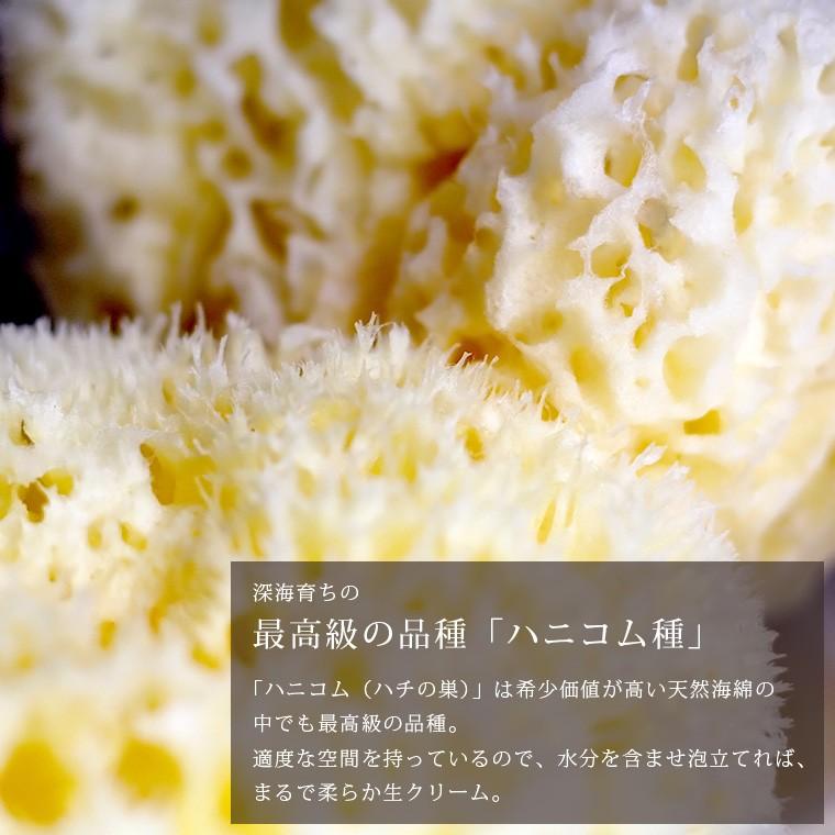 送料無料 天然海綿スポンジ 最高品質のハニコム種 イタリア産 ベリーニ ボディスポンジ 敏感肌 赤ちゃん 乾燥肌 アトピー 1051 00 お風呂のソムリエshop 通販 Yahoo ショッピング