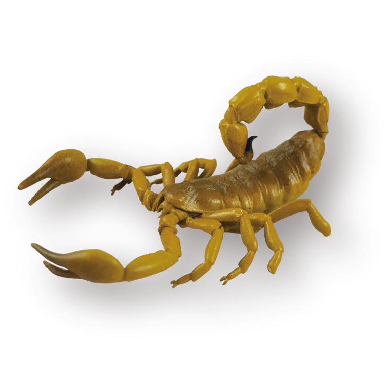 あす楽 お風呂 バスパウダー バスボム 子供 幼児 男の子 女の子 おもちゃ マスコット 遊べる リラックス バスタイム おうち時間 誕生日 プレゼント ギフト パティズ ノルコーポレーション コンビニ受取対応商品