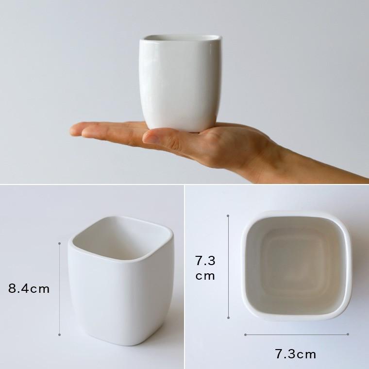 ホワイトキューブ」タンブラー【歯磨き コップ カップ サニタリー