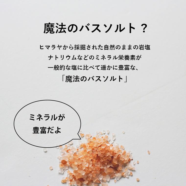 バスソルト 入浴剤 ギフト 「魔法のバスソルト」（800g×5袋セット）4kg
