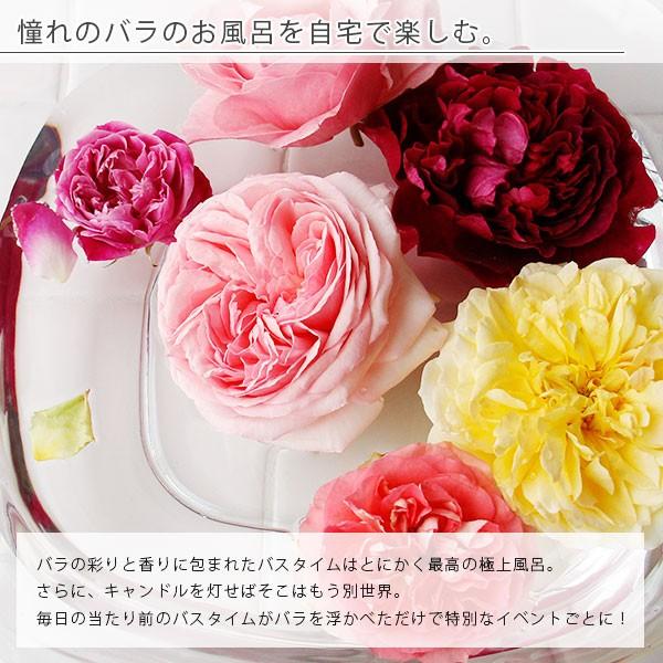 2本セット✕2箱 化粧箱入り ＋バラ1本 計5本 送料無料】バラ風呂「BATHLIER ROSE バスリエローズ」2箱セット 無農薬