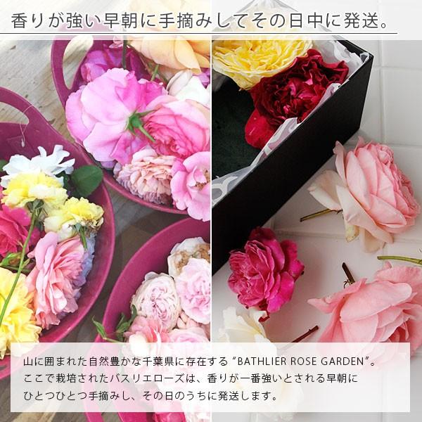 送料無料】バラ風呂「BATHLIER ROSE バスリエローズ」2箱セット 無農薬