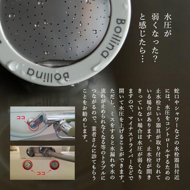マイクロバブルシャワーヘッド「BollinaWide（ボリーナワイド