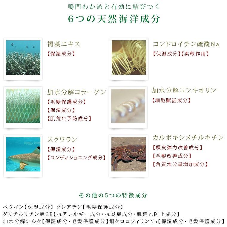 送料無料 海藻シャンプー コンディショナーセット わかめシャンプー阿波ノ美 鳴門わかめ配合 ノンシリコン アミノ酸 シャンプー 天然 髪 頭皮 9000 3431 お風呂のソムリエshop 通販 Yahoo ショッピング