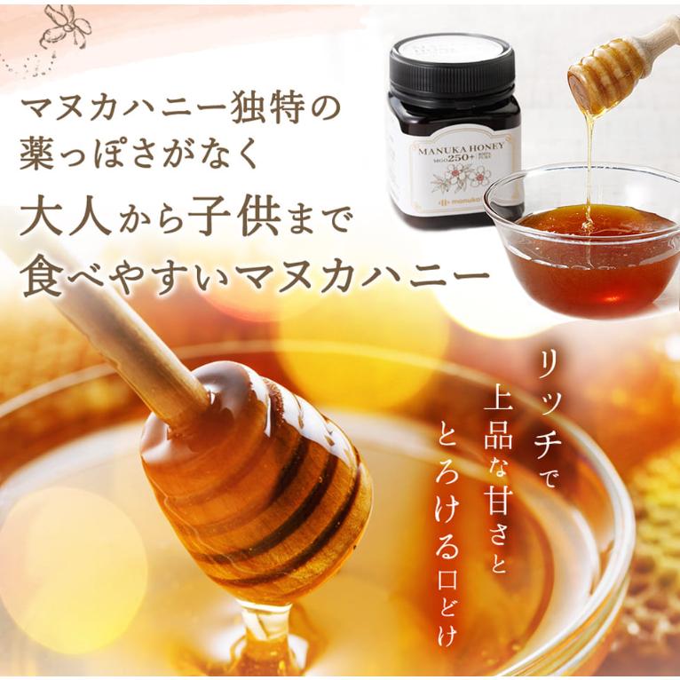 イワタニ manukalife マヌカハニー MGO550+ 250g umf はちみつ 500g