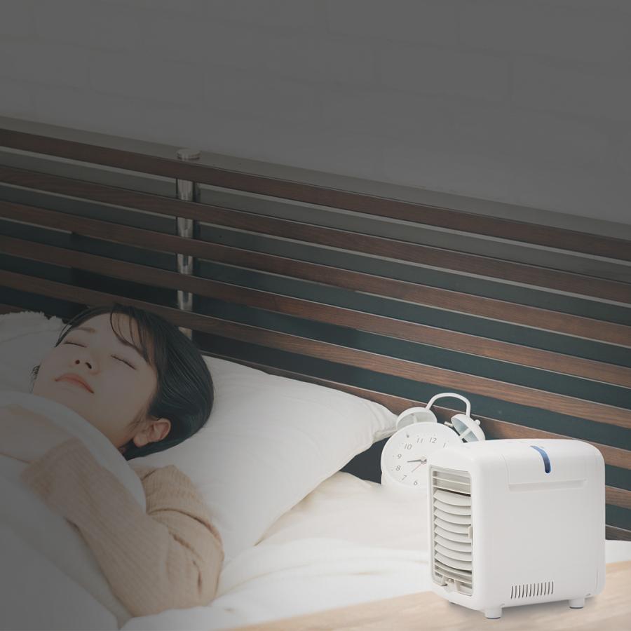 サクセスアジア ペルチェ式卓上クーラー SS-PAW 冷風 扇風機 usb 小型