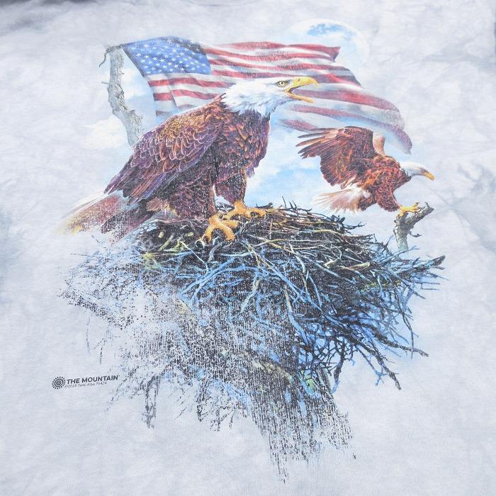 激レア USA製 90s パタゴニア Eagle ワシ Tシャツ XL 短丈 THE MOUNTAIN XL/古着 半袖 Tシャツ メンズ 鳥 大きいサイズ ロング丈