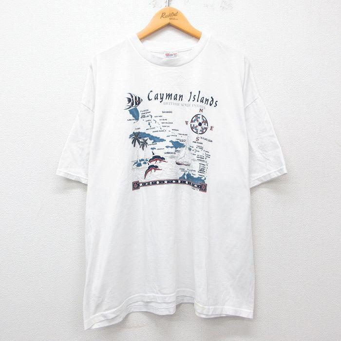 Hanes エロTシャツ 90s 00s Hanes（ヘインズ） XL/古着 半袖 ビンテージ Tシャツ メンズ 00s