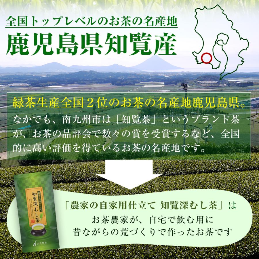 新茶 お茶 緑茶 知覧茶 深蒸し茶 福袋 計480ｇ 5本セット 深むし茶 知覧産  茶葉 煎茶 緑茶 新茶 2024年産【 新茶予約 】｜furuichiseicha｜09