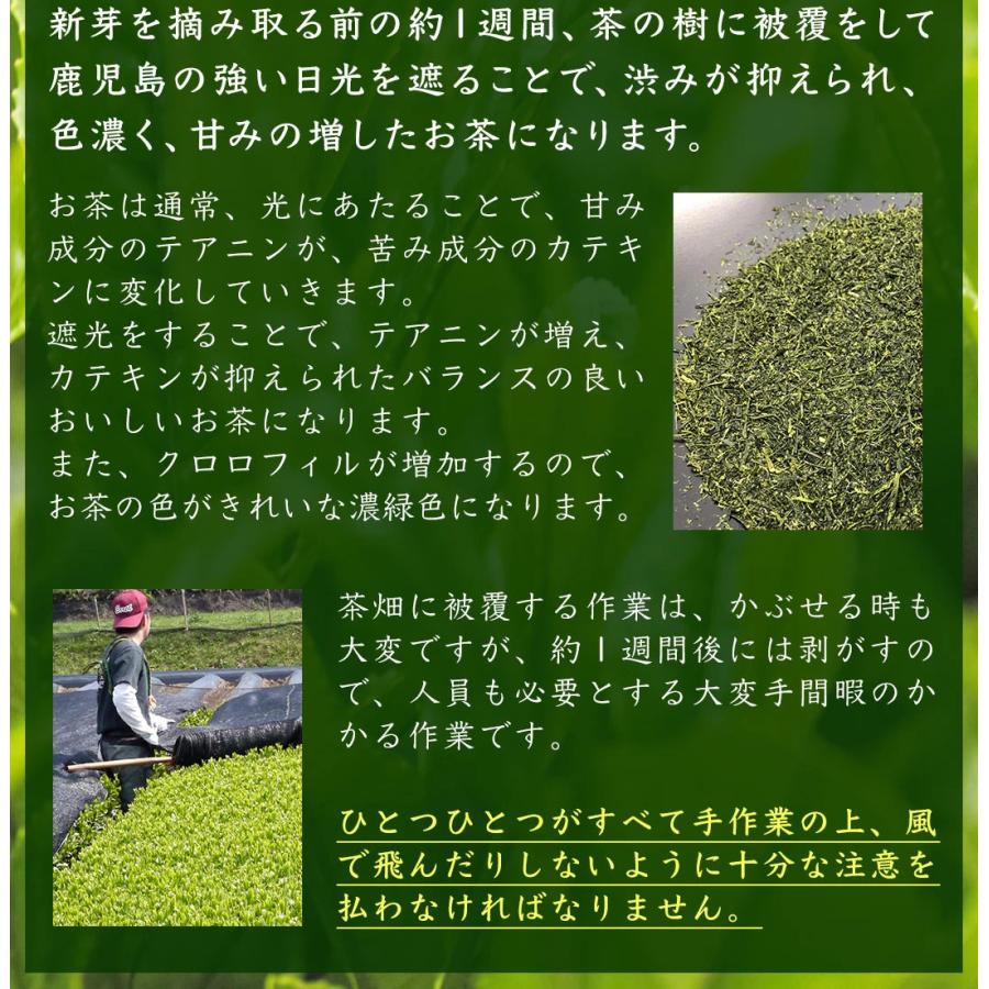 新茶 お茶 緑茶 知覧茶 母の日 2024 深むし茶 知覧みどり 100ｇ 2本セット 深蒸し茶 鹿児島県 茶葉 煎茶 お茶っ葉 お茶の葉 ギフト 老舗 日本茶【 新茶予約 】｜furuichiseicha｜08