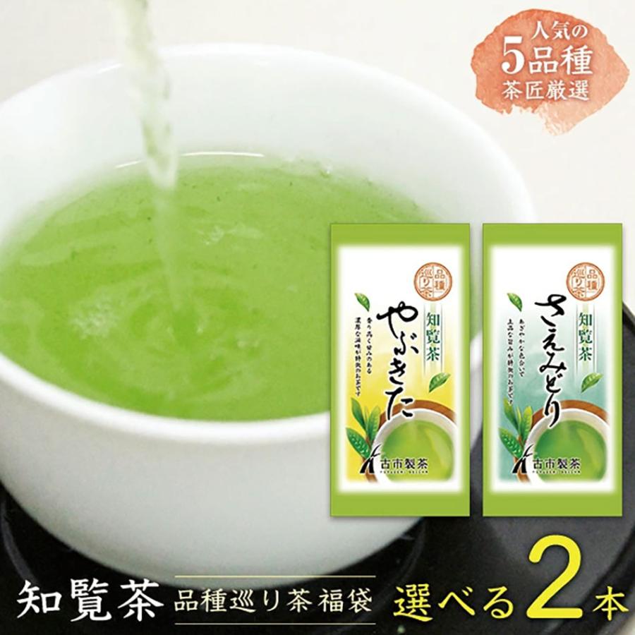 選べる2本 知覧茶 品種巡り メール便 送料無料 [ ちらん茶 ゆたか