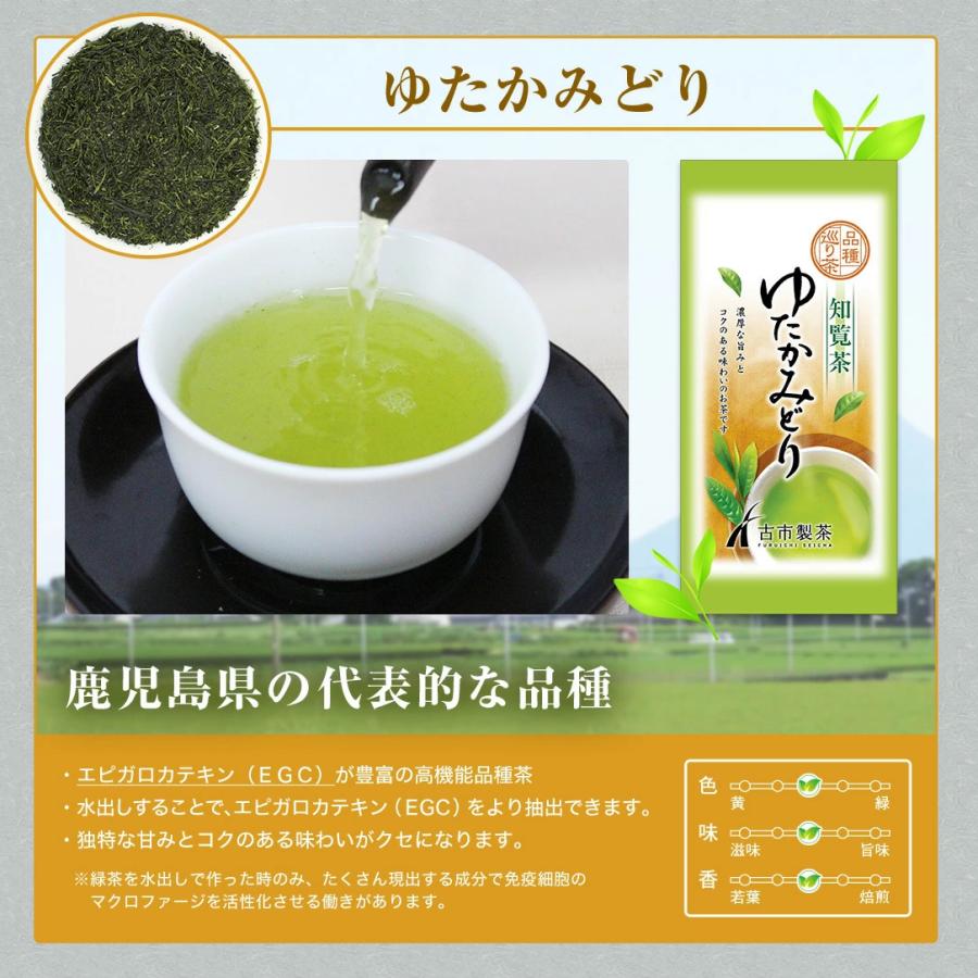 選べる5本】知覧茶 品種巡り福袋メール便 送料無料 ゆたかみどり やぶきた さえみどり おくみどり あさつゆ 深蒸し茶 お茶 緑茶 :10000016-5:知覧茶専門店 お茶の茶和樹 - 通販 - Yahoo!ショッピング 選べる5本】知覧茶 品種巡り福袋メール便 送料無料 ゆたかみどり やぶきた さえみどり おくみどり あさつゆ 深蒸し茶 お茶 緑茶 :10000016-5:知覧茶専門店 お茶の茶和樹 - 通販 - Yahoo!ショッピング