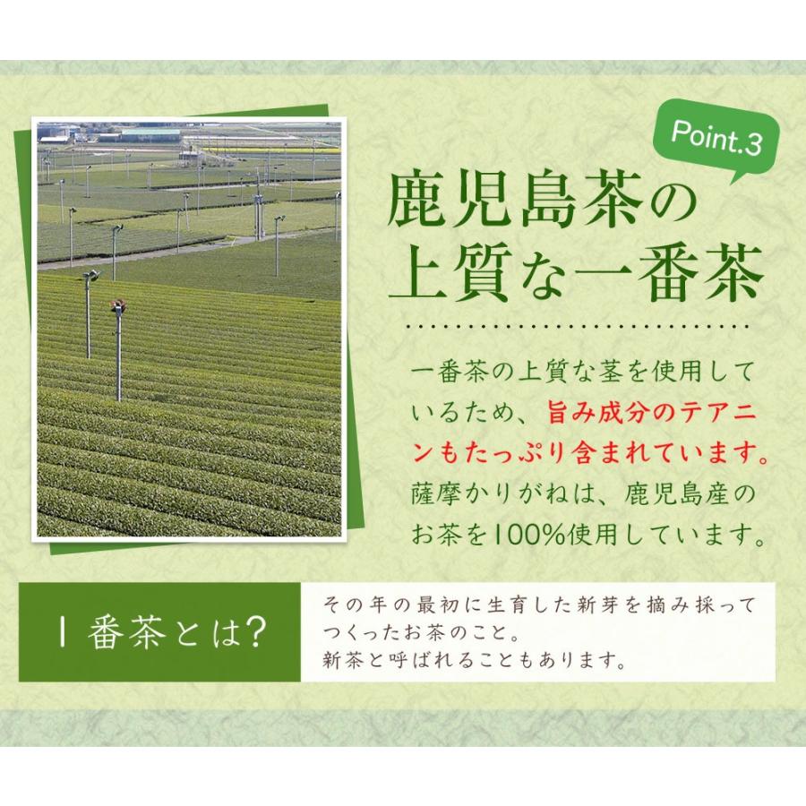 お茶 緑茶 茶葉 薩摩 かりがね かりがね茶 茎茶 鹿児島茶 100ｇ 白折 日本茶 一番茶 うまみ まろやか 鹿児島県産 水出し 冷茶 2023年度産｜furuichiseicha｜09