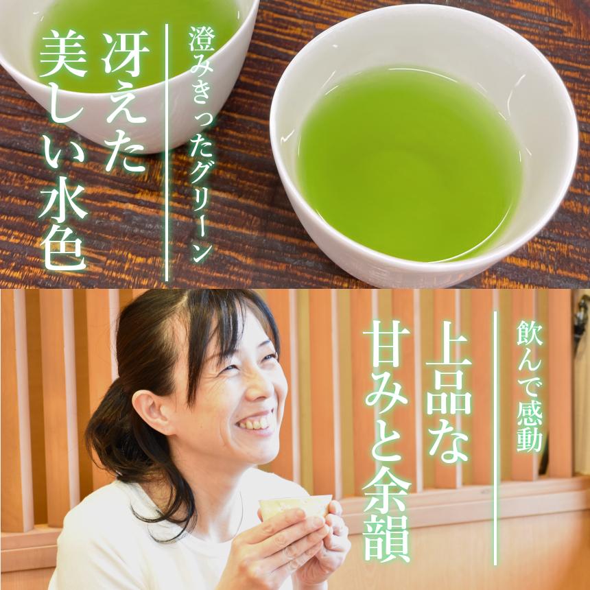 お茶 知覧茶 ] プレミアム さえみどり 100g 特上 希少 品種 煎茶 日本