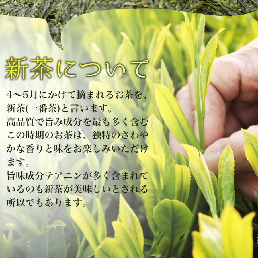 4月下旬発送【新茶】 お茶 初摘み 知覧茶 ティーバッグ 3g×10袋 【メール便送料無料】母の日 深蒸し茶 深むし茶 2024年度産｜furuichiseicha｜04