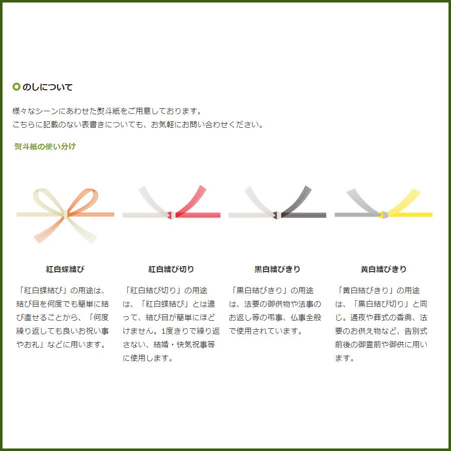 ギフトラッピング 紙袋 (持ち手なし) 目安(100g平袋1本から4本まで