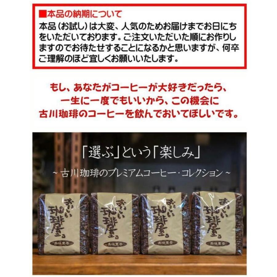 コーヒー豆 2kg 当店初めてのお客様限定おひとり様1回限り お コーヒー豆 2kg 当店初めてのお客様限定おひとり様1回限り お