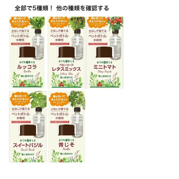 栽培キット 室内 野菜 おうちde育てるペットボトル栽培 ミニトマト 土なしで育てる 種 水 肥料 家庭菜園 ガーデニング おしゃれ かわいい ...