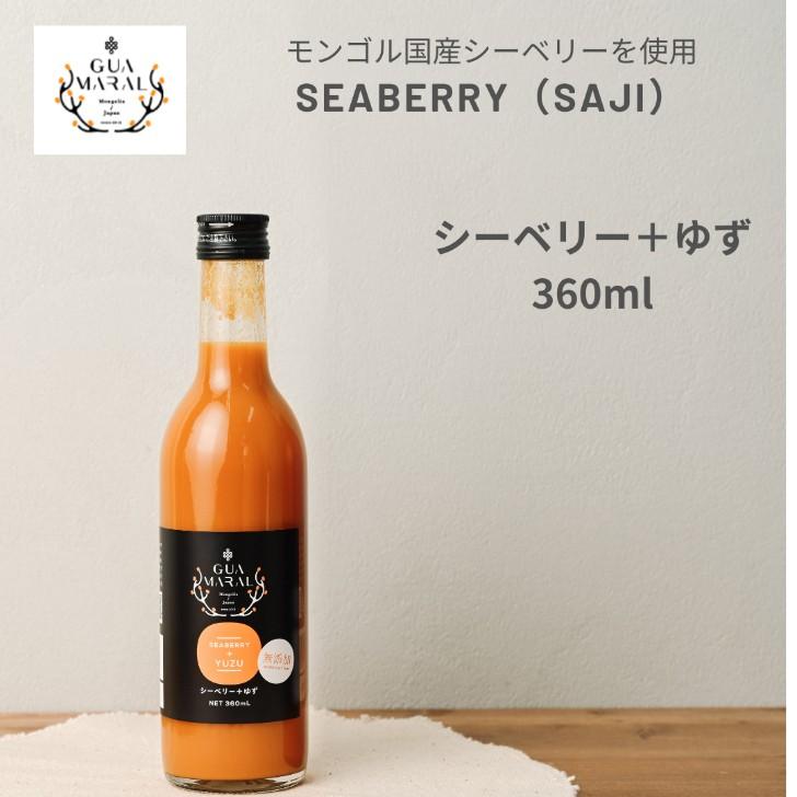サジージュース サジー シーベリー 鉄分 モンゴル国産 鉄分補給 健康