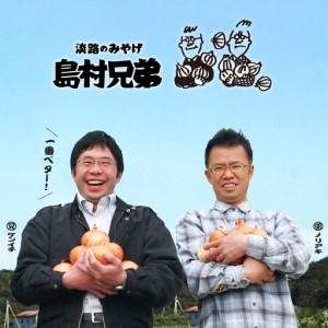 ふるさと納税 【定期便１年セット】農家さんと選んだ畑の恵みセット　野菜詰め合わせ 兵庫県淡路市_1
