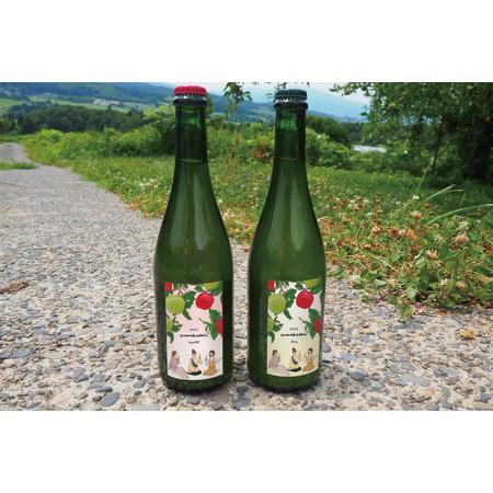 ふるさと納税 E123_01H　【贈答用箱入】菅谷りんご　シードルセット 新潟県新発田市 