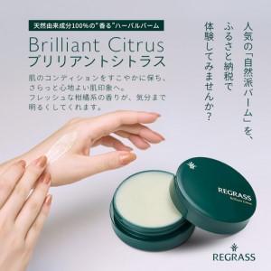 ふるさと納税 【訳あり】天然由来成分100％の“香る”ハーバルバーム 20g 1個 ブリリアントシトラス BS-709 ｜鹿児島県 南大隅町 バーム ハ.. 鹿児島県南大隅町_1