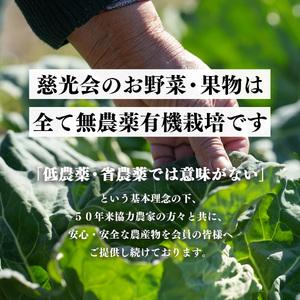 ふるさと納税 生命の農法（無化学農薬・無化学肥料栽培） 里芋 （約3kg） |  野菜 やさい ヤサイ 根菜 さといも 里芋 奈良県 五條市 奈良県五條市｜furunavi｜04