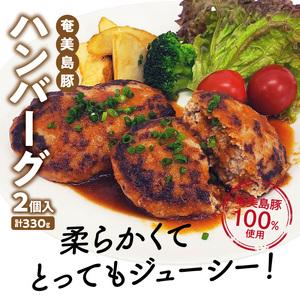 ふるさと納税 【奄美鶏飯】と【奄美島豚】餃子・ハンバーグのセット - ハンバーグ 2個 餃子 12個 鶏飯 2食分 セット 奄美 島豚 黒豚 簡単 時短.. 鹿児島県奄美市｜furunavi｜05