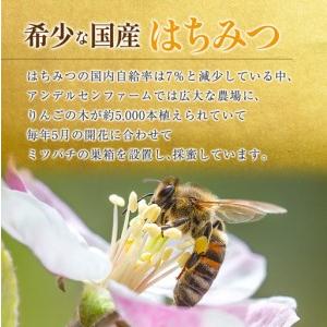 ふるさと納税 広島アンデルセン アンデルセンファームのはちみつ（300g×2本セット） AN008_014 広島県北広島町の画像