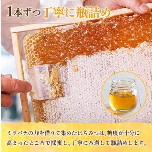 ふるさと納税 広島アンデルセン アンデルセンファームのはちみつ（300g×2本セット） AN008_014 広島県北広島町の画像