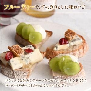 ふるさと納税 広島アンデルセン アンデルセンファームのはちみつ（300g×2本セット） AN008_014 広島県北広島町の画像