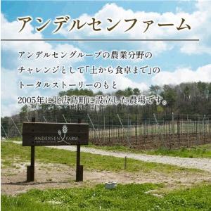 ふるさと納税 広島アンデルセン アンデルセンファームのはちみつ（300g×2本セット） AN008_014 広島県北広島町の画像