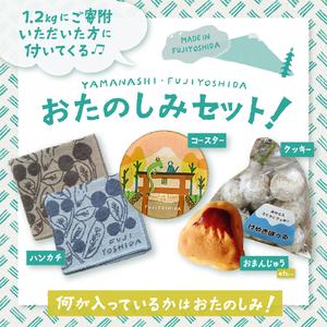 ネット激安通販 ふるさと納税 2024年発送 【お楽しみセット】 山梨県産 シャインマスカット 2房 (1.2kg以上) 山梨県産 シャインマスカット 2房 果物 シャ.. 山梨県富士吉田市