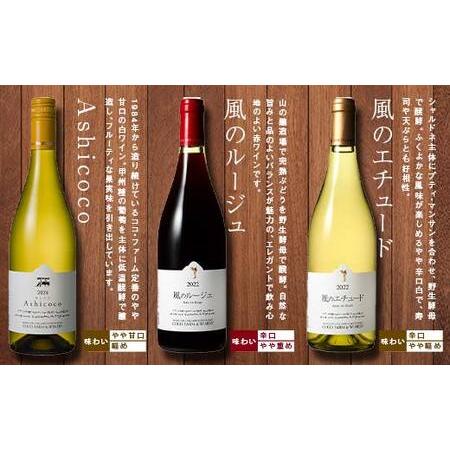 【送料込】ワイン7本セット ふるさと納税 ココワイン/ワイン6本セット【 ワイン お酒 栃木県 足利