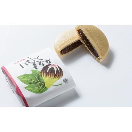 ふるさと納税 和菓子 マルトEセット（もなか・どら焼き・いちじくのWa！） 最中 どらやき お菓子 おかし スイーツ 新潟県上越市の画像
