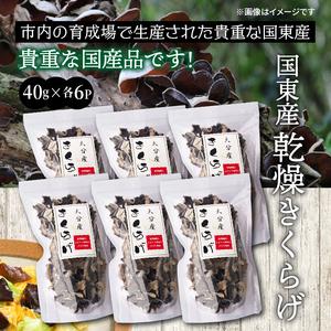 ふるさと納税 貴重な国産品です！国東産乾燥きくらげ_29059A 大分県国東市_1