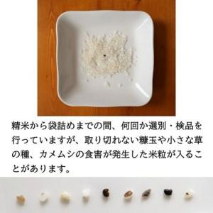 ふるさと納税 【令和8年産・玄米2kg×6カ月定期便】特別栽培米　五郎兵衛米 〈2026年10月中旬頃〜順次発送〉 先行予約　新米　信州　こしひ.. 長野県佐久市_2