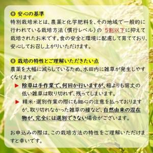 ふるさと納税 【令和8年産・玄米2kg×6カ月定期便】特別栽培米　五郎兵衛米 〈2026年10月中旬頃〜順次発送〉 先行予約　新米　信州　こしひ.. 長野県佐久市_3