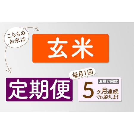 ふるさと納税 【玄米】＜令和8年産 新米予約＞ 《定期便5ヶ月》秋田県産 あきたこまち 5kg (5kg×1袋)×5回 5キロ お米 匠 秋田県仙北市_2