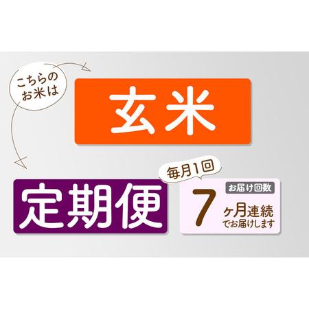 ふるさと納税 【玄米】＜令和8年産 新米予約＞ 《定期便7ヶ月》秋田県産 あきたこまち 5kg (5kg×1袋)×7回 5キロ お米 匠  秋田県仙北市の画像