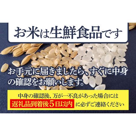 ふるさと納税 【玄米】＜令和8年産 新米予約＞ 《定期便7ヶ月》秋田県産 あきたこまち 5kg (5kg×1袋)×7回 5キロ お米 匠  秋田県仙北市の画像