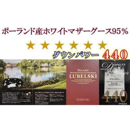 ふるさと納税 【羽毛布団】掛け布団 ダブル ポーランド産マザーグース95％ ダウンパワー440 100番手【BE120】 山梨県富士河口湖町_1