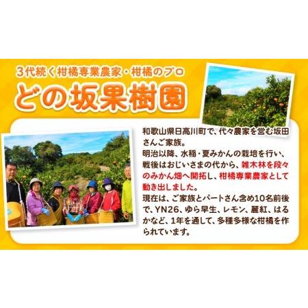 ふるさと納税 みかん 訳あり ゆら早生みかん 約5kg 和歌山県日高川町 |  | 01