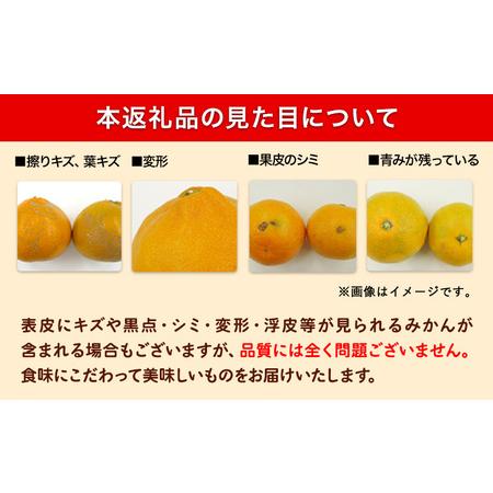 ふるさと納税 みかん 訳あり ゆら早生みかん 約5kg 和歌山県日高川町 |  | 04