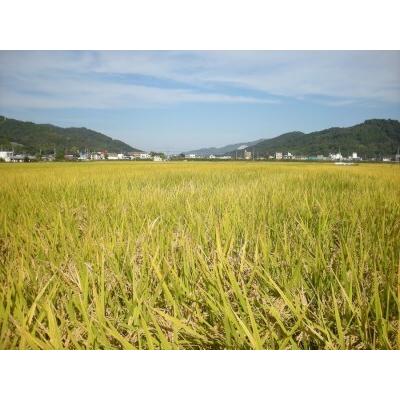 ふるさと納税 【2616-0284】[岡山の酒] 御前酒 雄町米 [吟醸飲みくらべセット]《純米大吟醸 鳳凰／馨》《純米吟醸 如意山》720ml×3本 真庭.. 岡山県真庭市 Y1455099138(14430円)