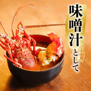 ふるさと納税 季節限定 箱詰め伊勢海老サイズおまかせ中セット（約２．０kg）【4月以降発送】 徳島県海陽町の画像